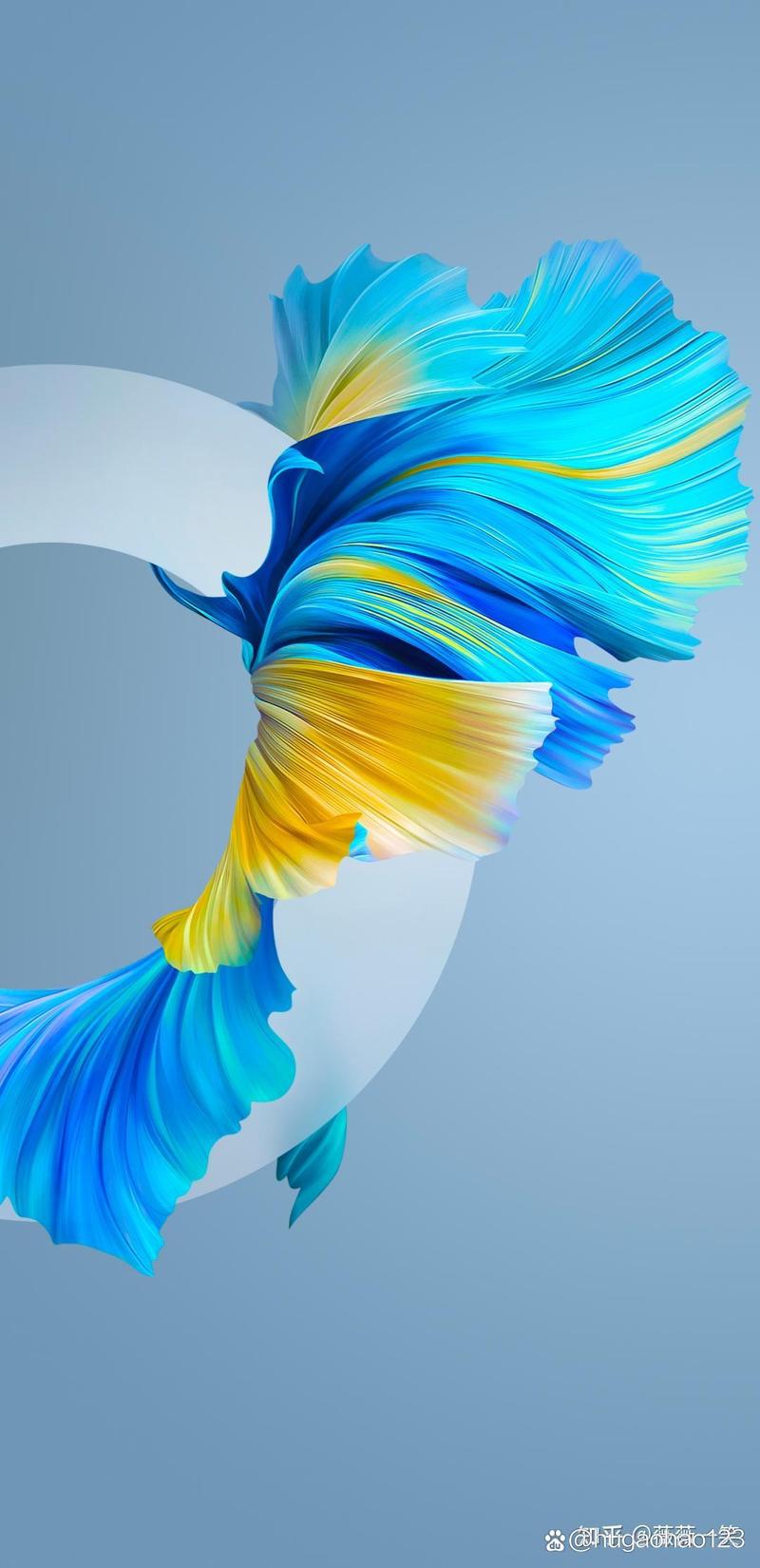 華為手機驅動官網下載安裝，華為手機驅動官方下載