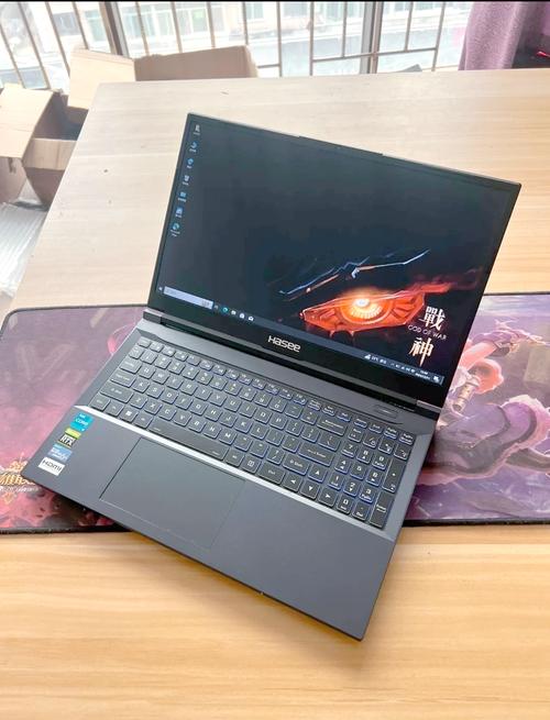 觸摸板驅動叫什么名字，神舟戰神觸摸板驅動