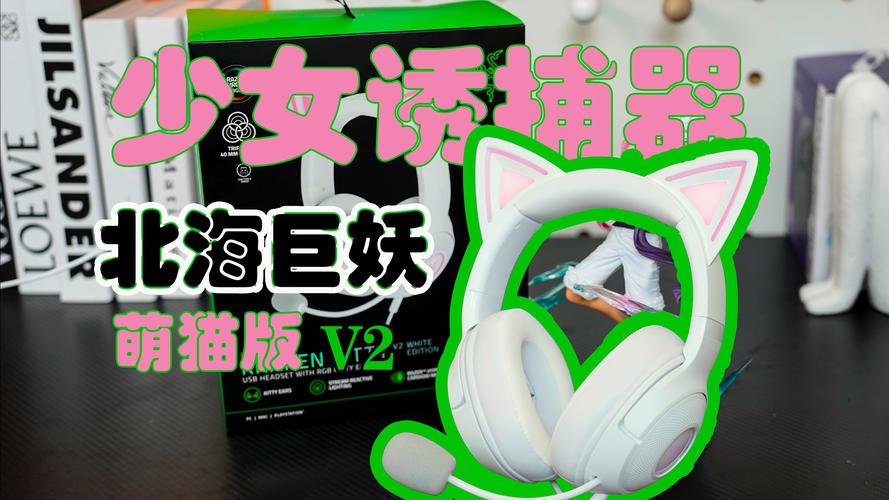 雷蛇驅(qū)動有必要裝嗎，雷蛇驅(qū)動在哪里打開