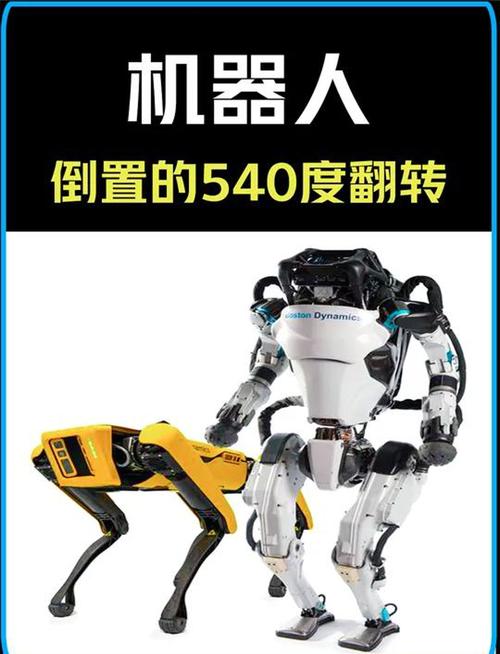 人性與機器的碰撞：維修機器人波力