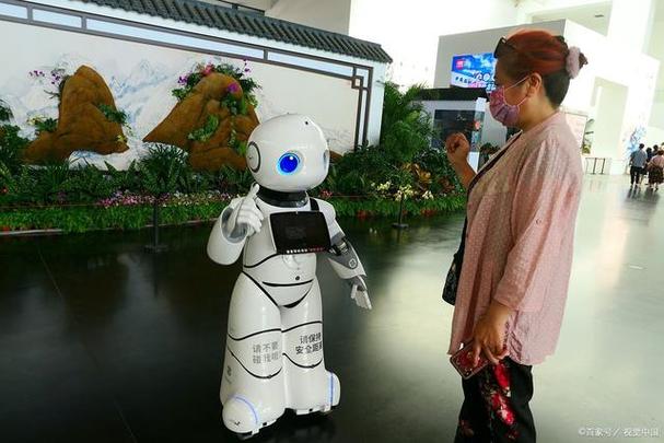 大龍潭景區機器人維修