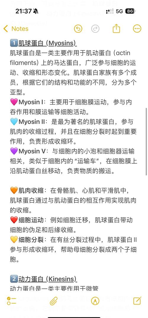 驅動蛋白名詞解釋，驅動蛋白是馬達蛋白嗎